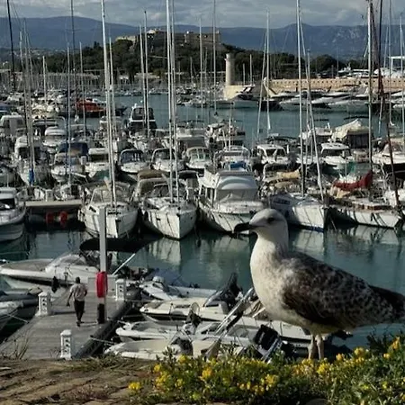 Insolite Dans Le Vieil Lägenhet